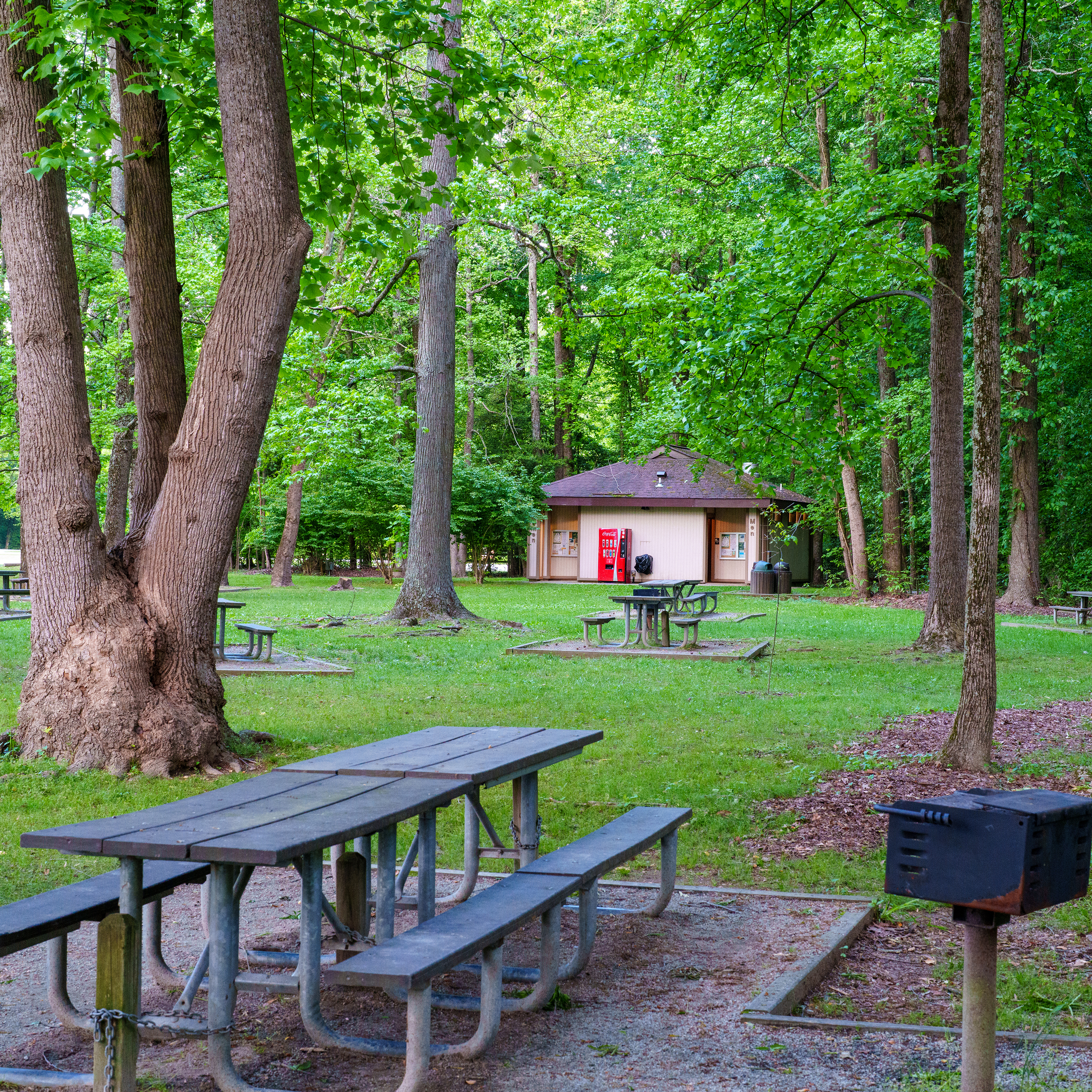 Picnic Spot